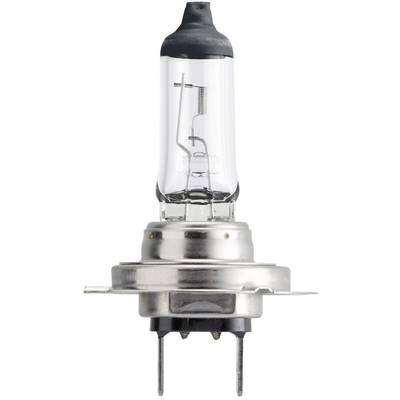 A halogen lamp with a metal fitting and filament, standing upright and ready for installation in a lighting system.