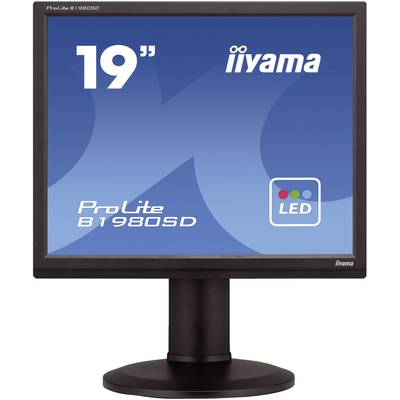 Iiyama B1980SD LED 48.3 cm (19 inch) 1280 x 1024 p SXGA 5 ms DVI, VGA TN LED