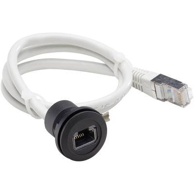 A white Ethernet cable with a black flush socket and a transparent RJ-45 plug, shown coiled.
