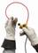 'Two hands in insulating gloves are holding a flexible electrical clamp.'