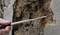 A person is examining crumbling plaster on a wall with a scraper to assess the condition of the material.