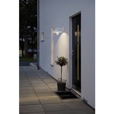 Modern house facade at dusk, with illuminated entrance and small tree in a pot beside the door.