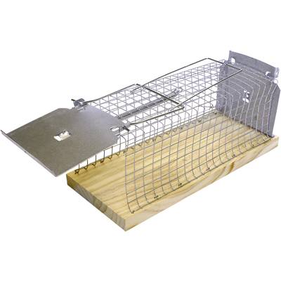 Image of Swissinno Rat Classic Cage trap 1 pc(s)