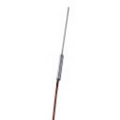 A long, slender mast with a metal tip, possibly a lightning conductor or similar device.
