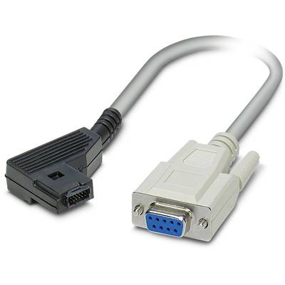 A grey-black computer connection cable with a DB9 plug and an RJ-12 plug.
