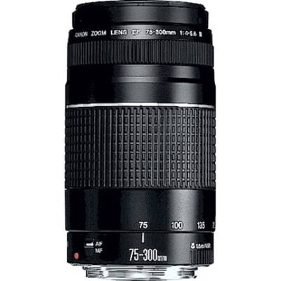 A black camera lens with a focal length indication of 75-300 mm. It features a switch for autofocus and manual focusing.