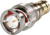 TRU COMPONENTS 1579259 BNC adapter BNC plug - 1.5/5.6 socket 1 pc(s)