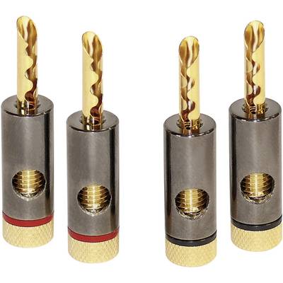 Image of four gold-coloured speaker banana plugs in silver housings, two marked with a red ring and two with a black ring.