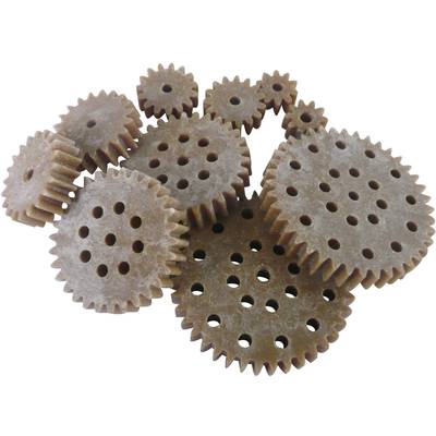 Image of Reely Wood, Plastic Cogwheel set Module Type: 1.0 No. of teeth: 10, 15, 20, 30, 40 10 pc(s)