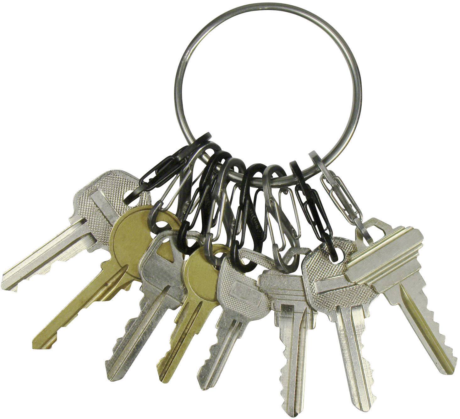 A keyring with several metal keys of varying shapes and sizes.