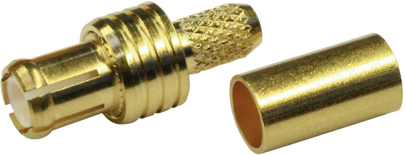 A gold-coloured, ribbed RCA plug and its corresponding socket are lying side by side on a white background.