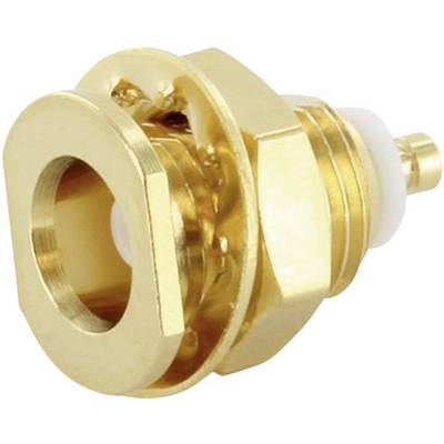Metallic connector with a gold-coloured screw cap, suitable for network applications and electronic devices.