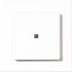 HomeMatic radio-wall feeler 2fach