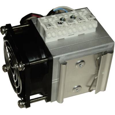 RO/SE LM-Heizungen Enclosure fan heater Mixi Duo 24 - 230, 230 V DC, V AC 100 W (L x W x H) 70 x 60 x 76 mm 1 pc(s)-0