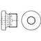 Technical drawing of a screw head with hexagonal top view and side view, including labels and dimensions.