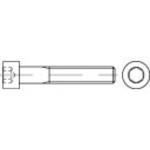 Cylinder Screws