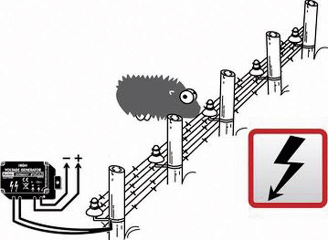A hedgehog approaches an electric fence connected to a power generator. A warning sign displays a lightning symbol.