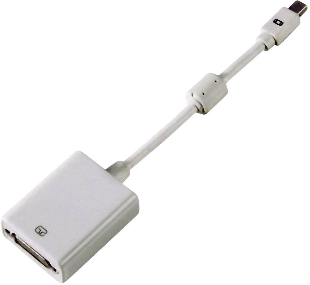 Hama 00053248 DisplayPort / DVI Adapter [1x Mini DisplayPort plug - 1x DVI socket 29-pin] White incl. ferrite core 15.00-3