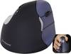 Evoluent Vertical Mouse 4 VM4RW Ergonomic mouse Radio Optical Black, Silver 6 Buttons 2800 dpi Ergonomic