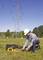 A worker wearing a hard hat is measuring electrical voltage with a measuring device in a field. A power transmission tower is visible in the background.