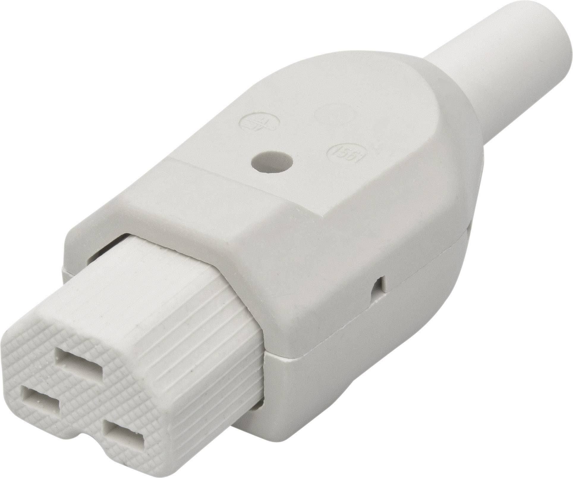 A white straight device plug, commonly used for electrical appliances, shows two openings for pins.