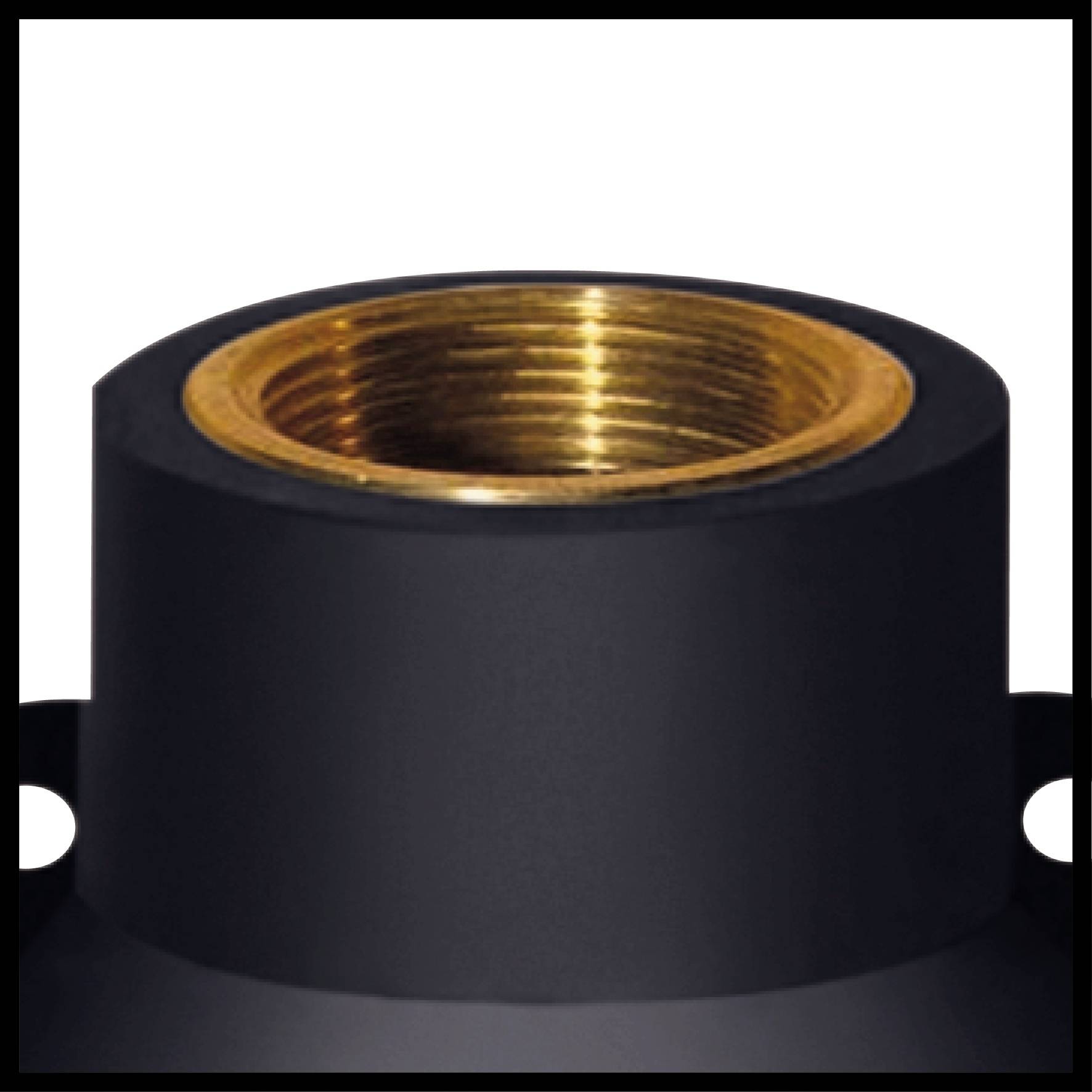 Black socket with gold-coloured internal threading, likely for an electrical or mechanical connection.