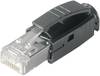 Telegärtner 100007451 STX RJ45 plug 100007451 Plug, straight Pins: 8P8C Glassy 1 pc(s)