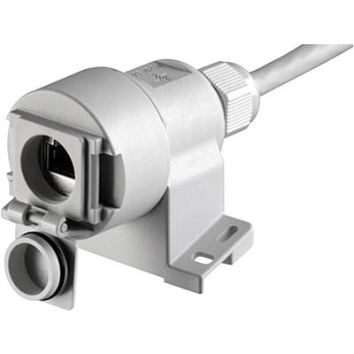 A grey industrial connector with cable, showing the connection side. Suitable for robust and secure electrical connections.