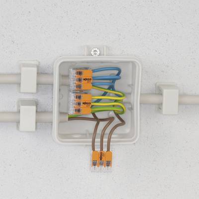Buy WAGO 221-615 221 Connector clip flexible: 0.50-6 mm² fixed