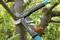 A branch cutter is cutting a thick branch from a tree. Surrounded by green leaves, he demonstrates efficient garden tool usage.
