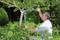 A man in a garden is cutting a branch from a tree with secateurs. Surrounded by lush greenery and leaves.