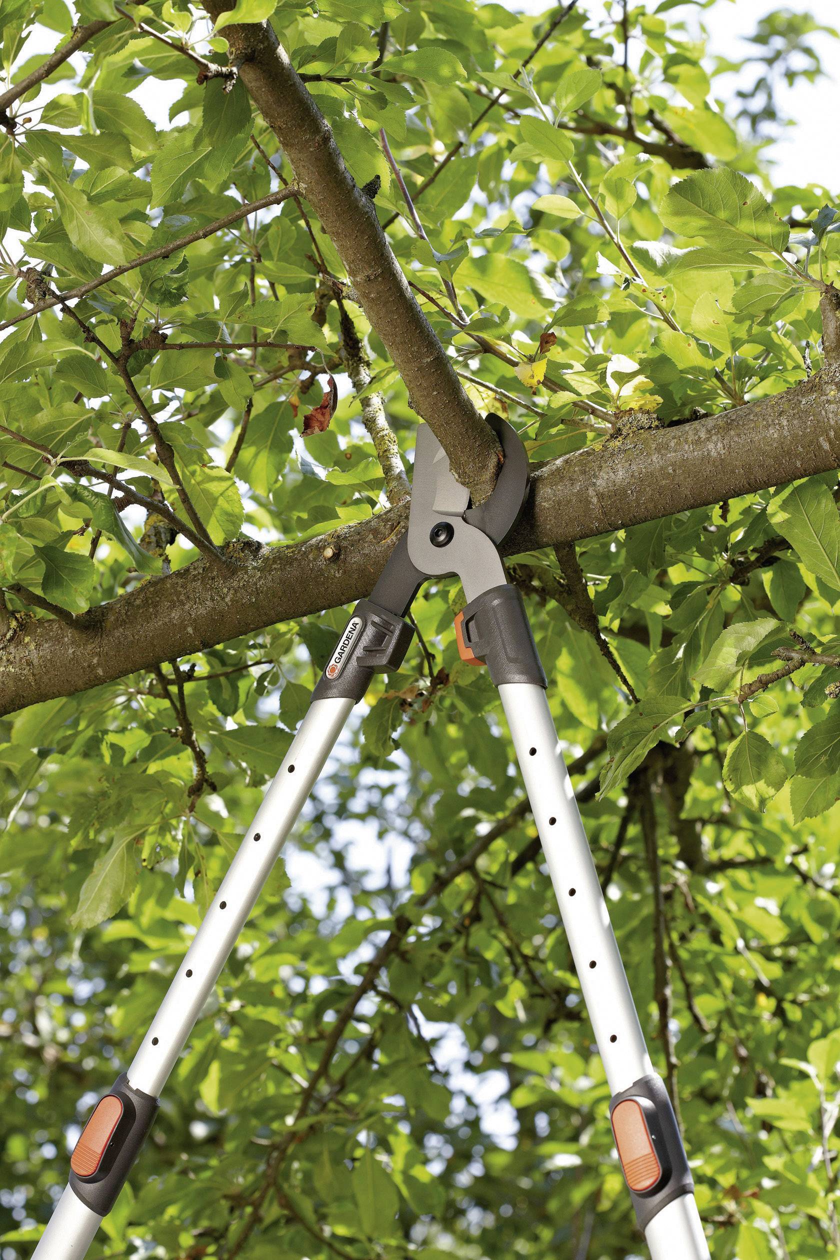 GARDENA Comfort 650 BT 877920 Telescopic lopper Bypass