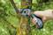 A man is sawing a moss-covered branch off a tree using a small handsaw.