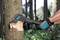 A person wearing gloves is chopping into a tree trunk with an axe in the woods.
