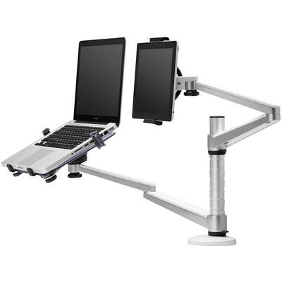 NewStar NOTEBOOK-D300 Laptop stand Tiltable, Height-adjustable