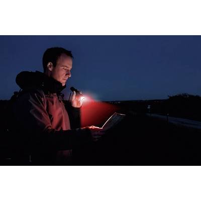 Ledlenser P7QC LED (monochrome) Torch battery-powered 220 lm 25 h 175 g-5
