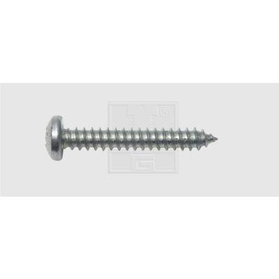 SWG   Sheet metal screw 4.2 mm 9.5 mm Phillips DIN 7981   Steel zinc plated 100 pc(s)