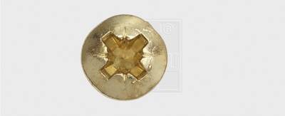 A single brass screw head with a cross-head on a white background.