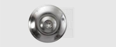 A silver metal screw with a round shape and a six-pointed star head is lying on a grey surface.