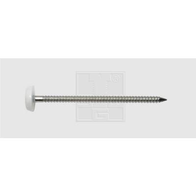 Long metal nail with a flat, white head on a grey background.