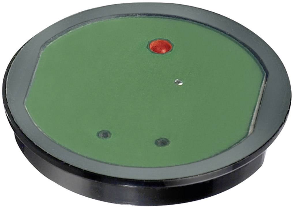 APEM Capacitive proximity switch CG111AJ0RC CG111AJ0RC 29 mm NPN