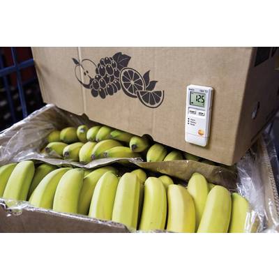 Banana storage area with an open crate, thermometer showing 12.5°C, cardboard box with fruit illustration.
