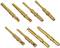 Eight gold-plated pin contacts in various sizes, used for electrical plug connections.
