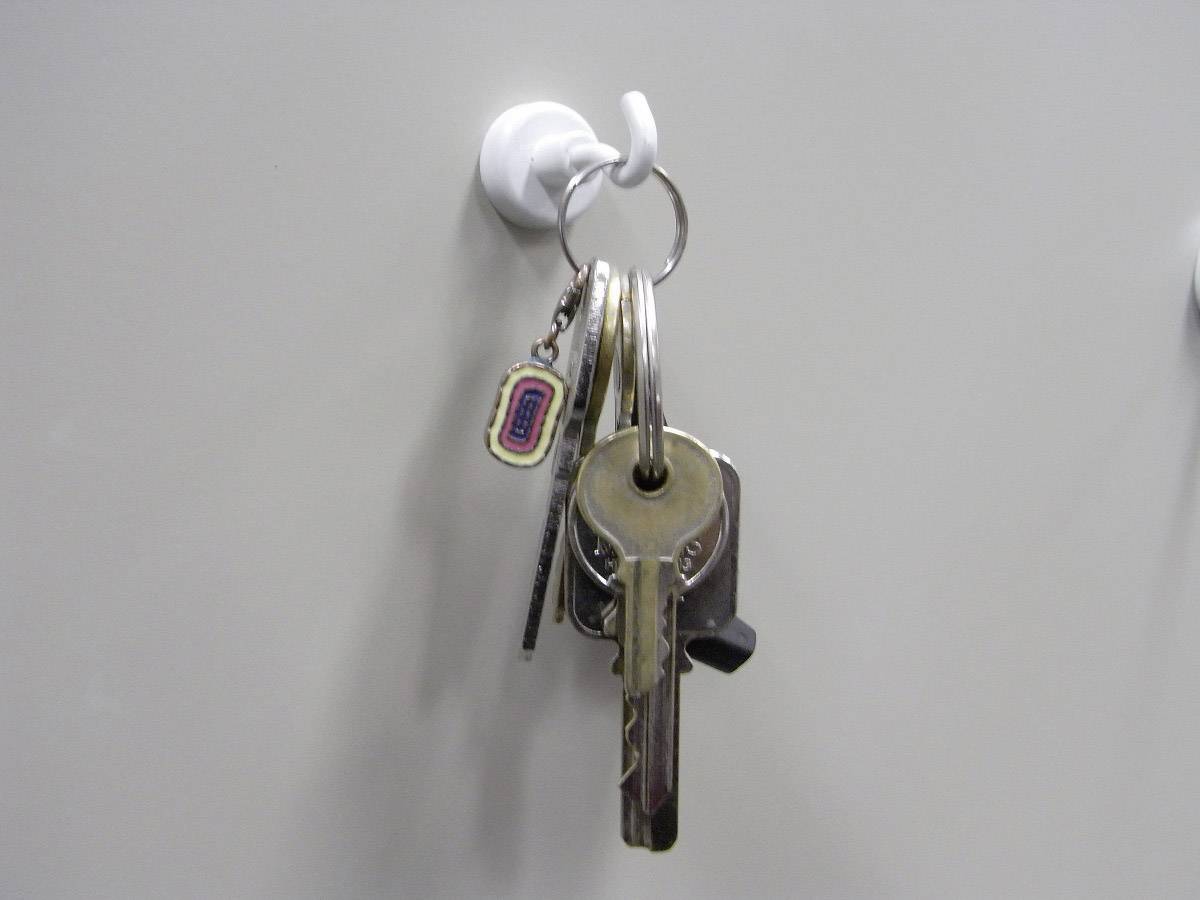 TOOLCRAFT 1214396 Magnetic hook 35 mm 4 pc(s)-1