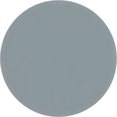 A single-coloured, blue-grey circle.