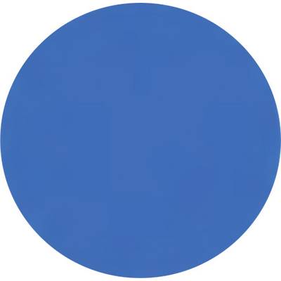 A simple blue circle against a white background.