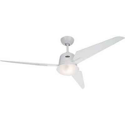 White ceiling fan with three blades, central light, and simple ceiling mounting.