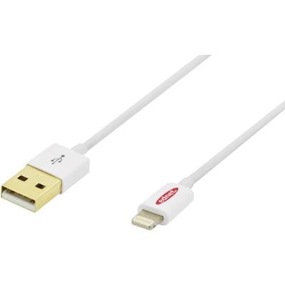 ednet Apple iPad/iPhone/iPod Cable [1x USB 2.0 connector A - 1x Apple Dock lightning plug] 1.00 m White