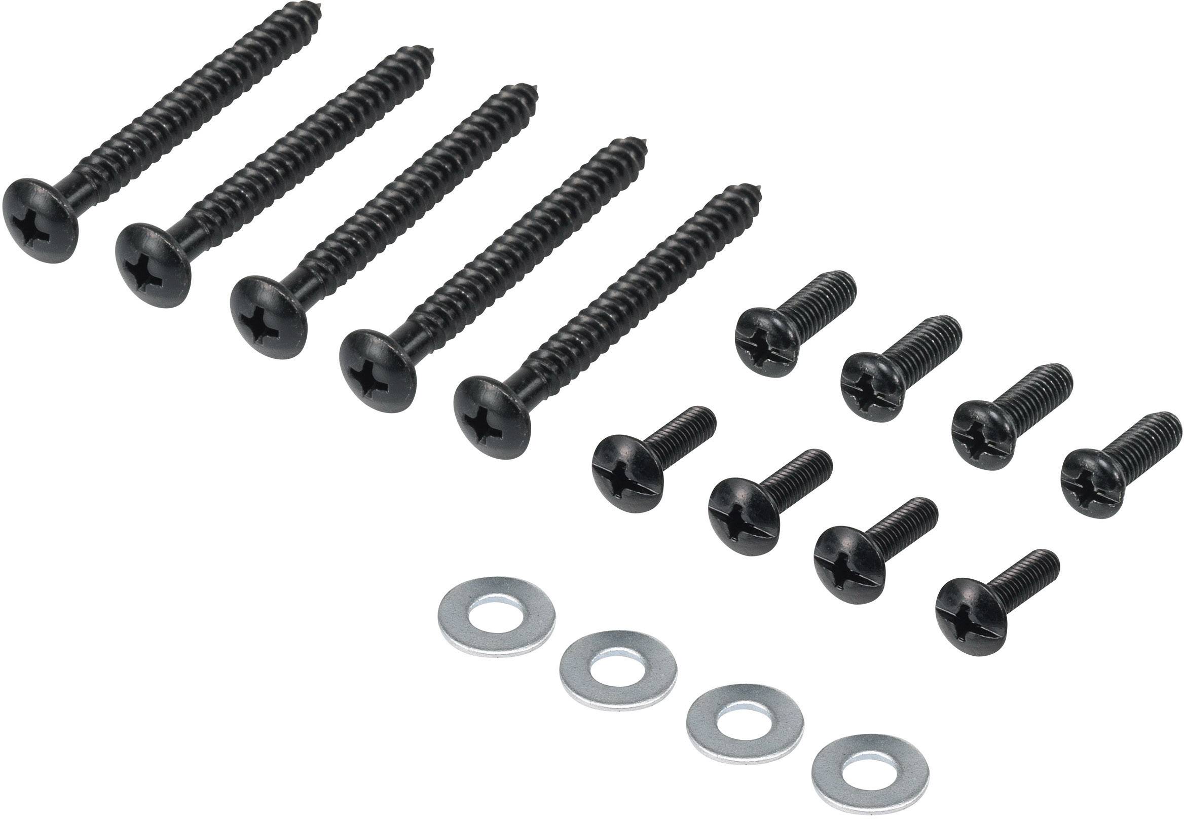 Black screws in two sizes with corresponding washers, arranged on a white surface.