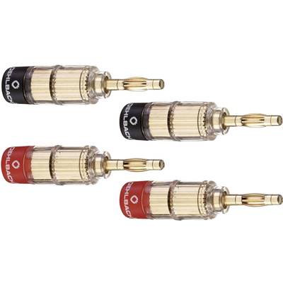 Four gold-plated banana plugs, two marked with a red ring and two with a black ring, for loudspeaker cable connections.